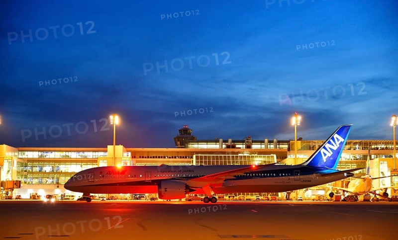 Boeing B 787