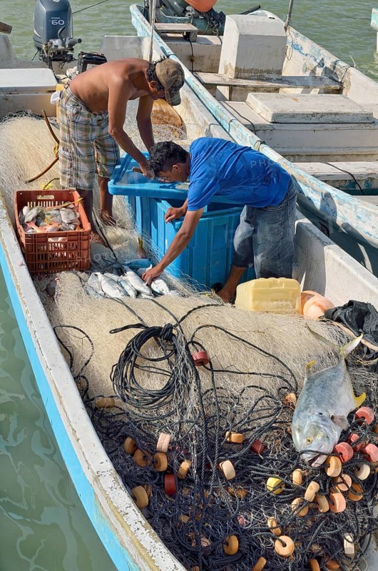 Fishermen sorting their catch in the boat