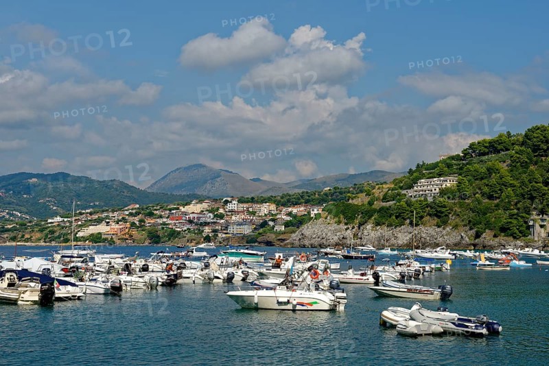 Harbour with boats