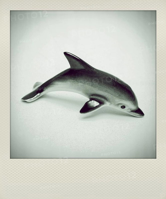 Polaroid effect of dolphin toy