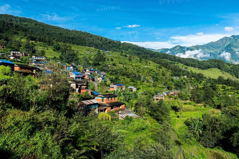 Houses in agricultural landscape with green terrace rice fields