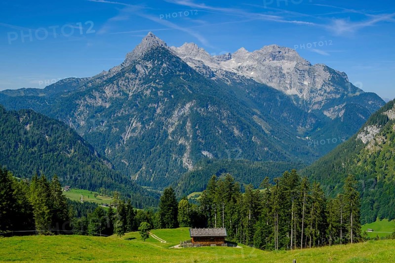 Big ox horn over the alpine pastures