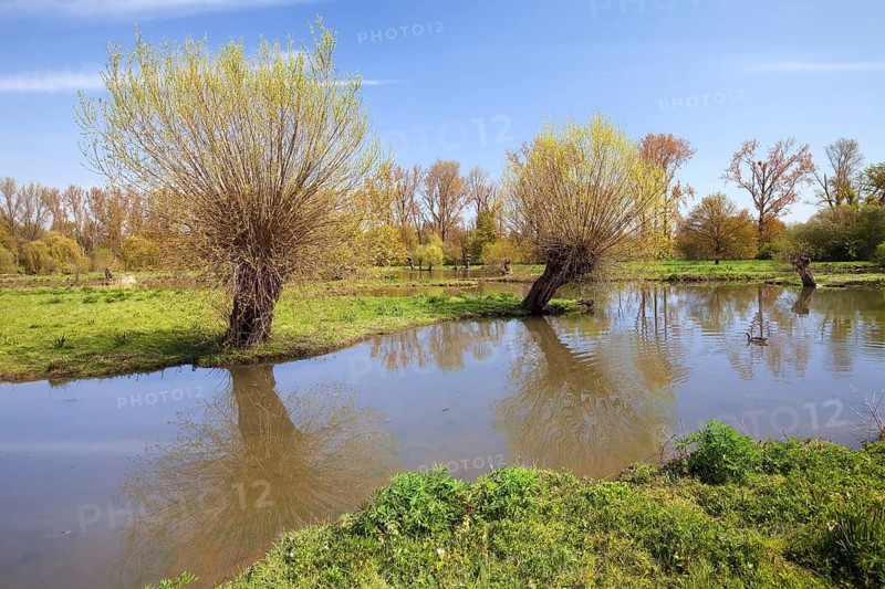 Floodplain with the Erft in spring