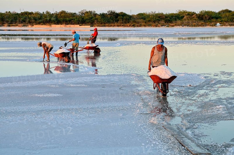 Workers shoveling salt in wheelbarrow