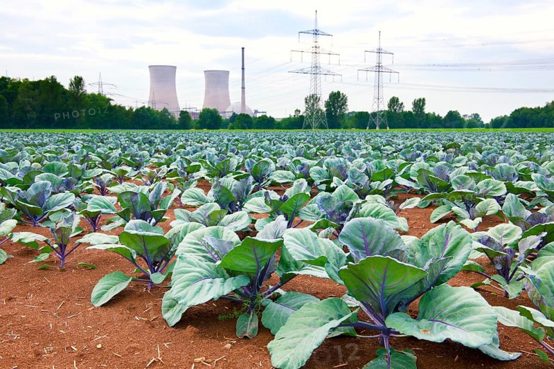 Grafenrheinfeld nuclear power station