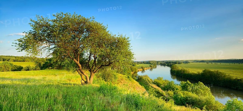 View of the river Saale