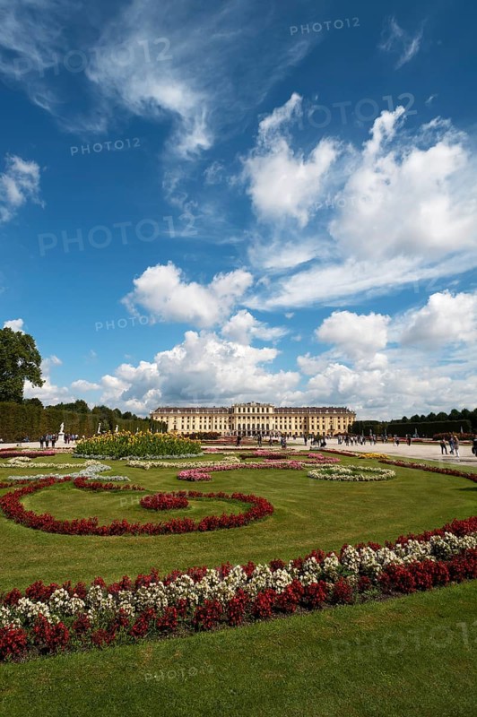 Flower bed in park