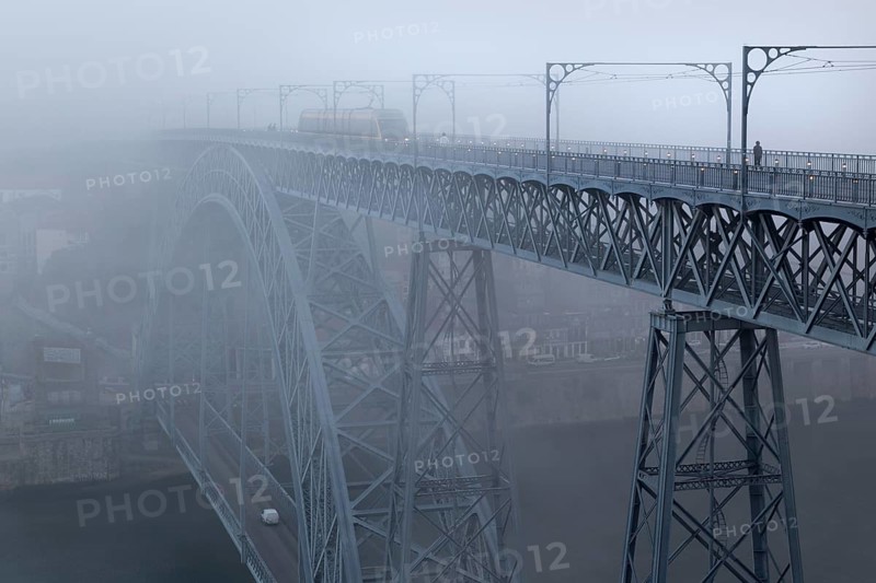 Arch bridge Ponte Dom Luis I over the Douro