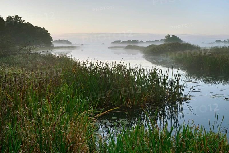 Foggy atmosphere at Leiner Lake