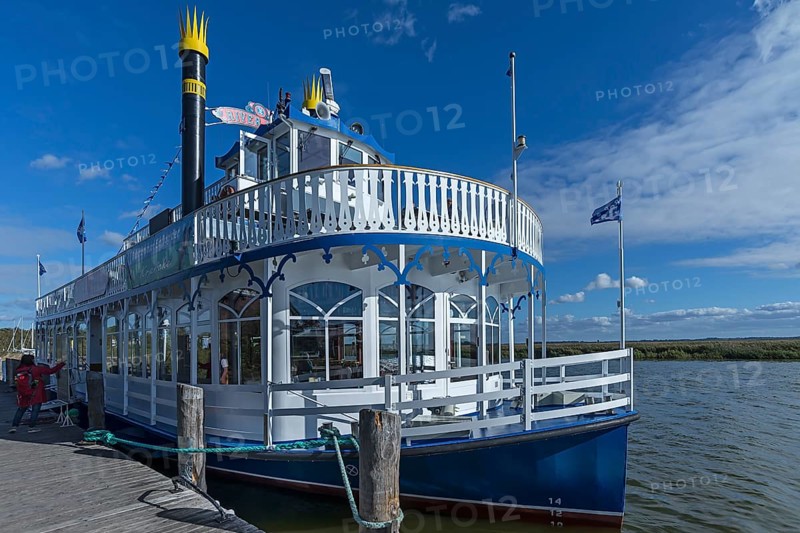 Paddle wheel steamer