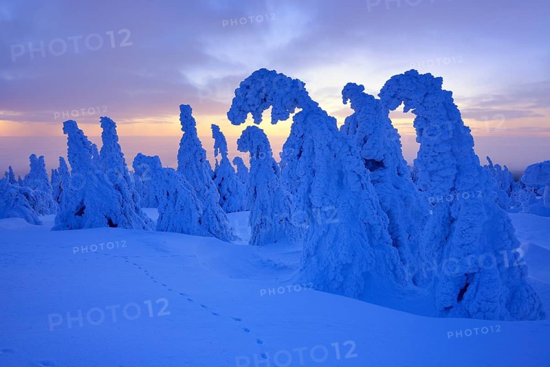 Morning atmosphere on the Brocken