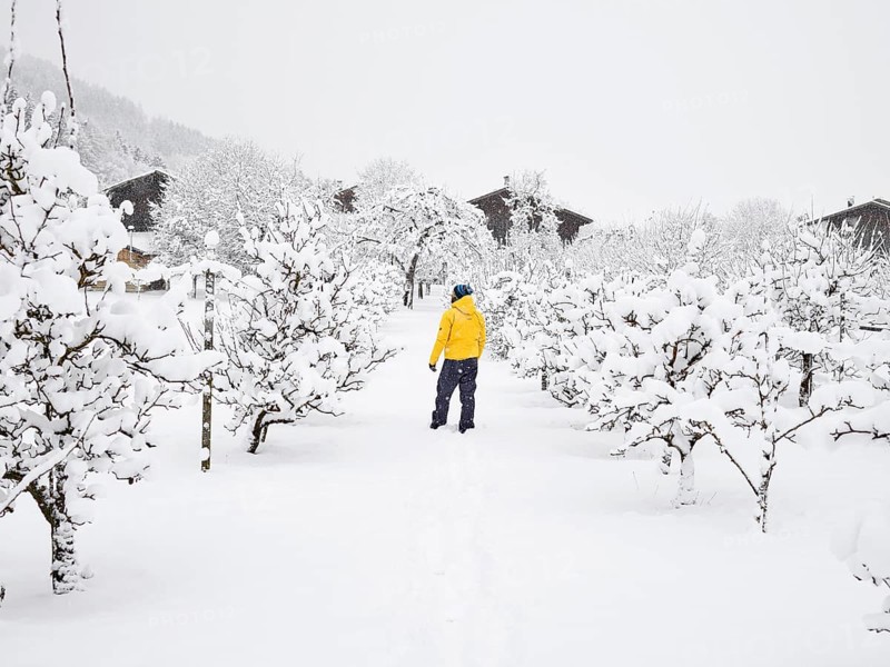 Man with yellow winter jacket in orchard