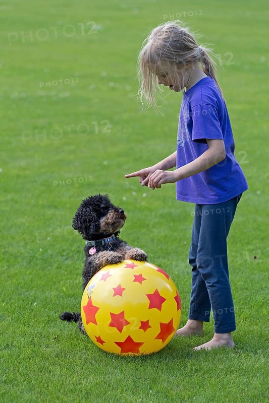 Little girl trains dog
