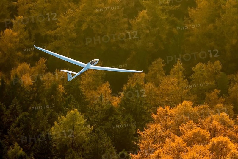 Glider
