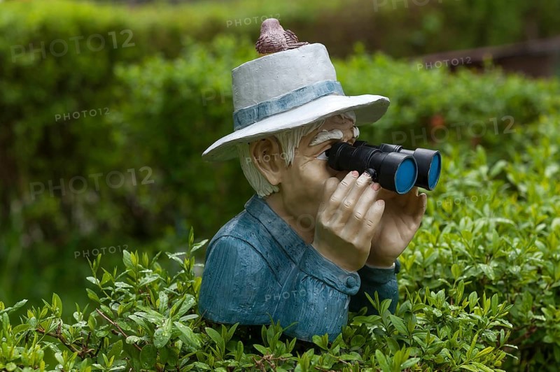 Human figure with hat and binoculars looking over a hedge