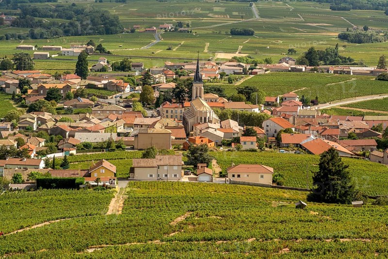 Fleurie village