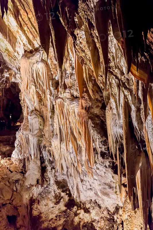 Caves of Postojna