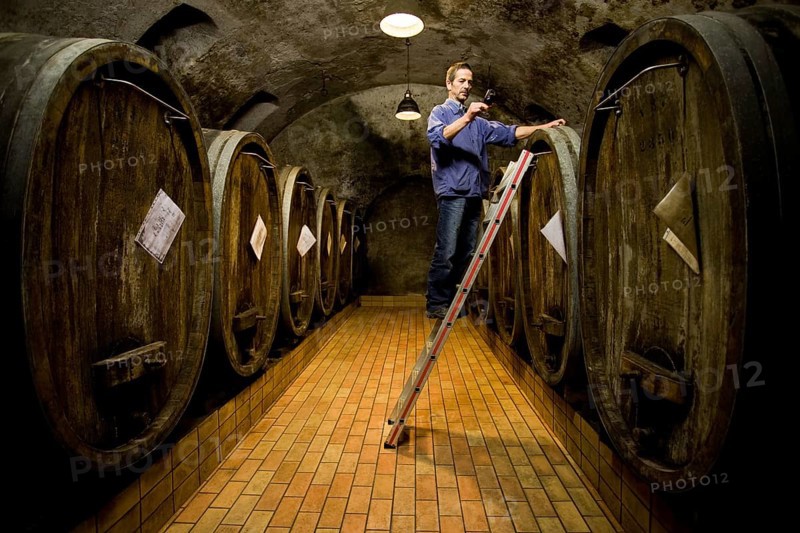 Wine cellar
