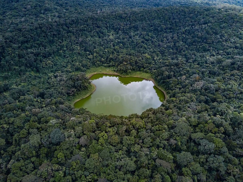 Lac Vert in the jungle
