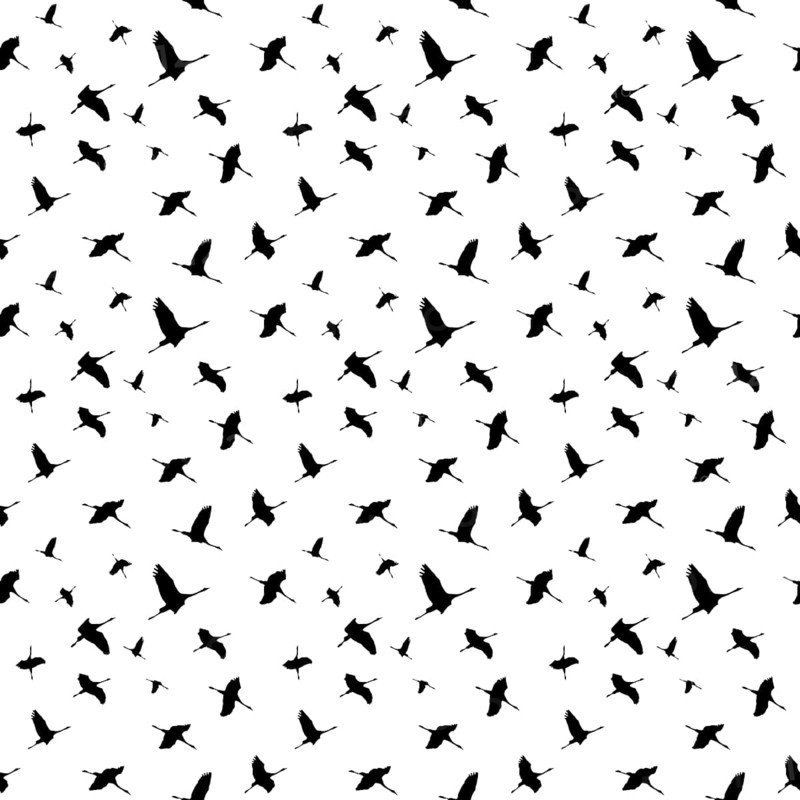 Wrapping paper