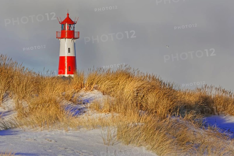 Red and white striped lighthouse List East in the dunes