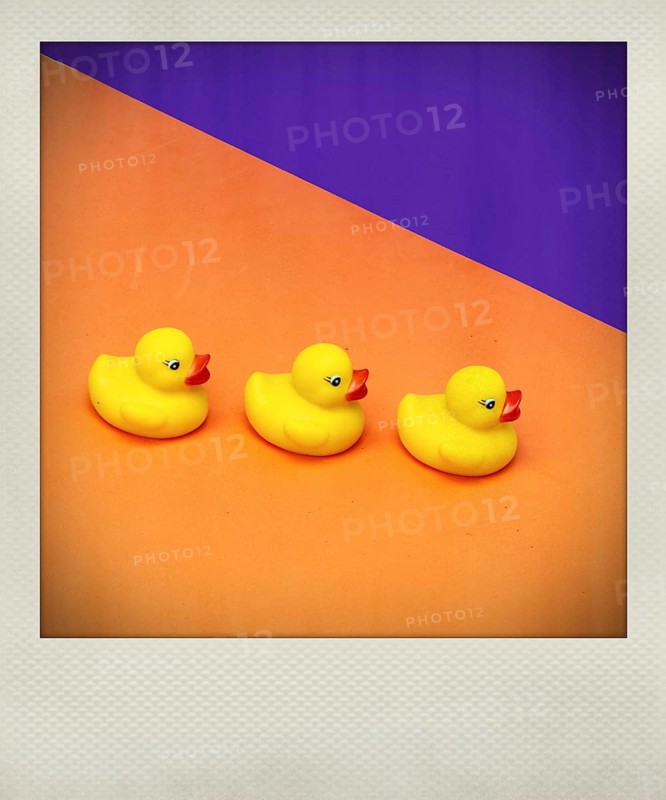 Polaroid effect of Yellow rubber ducks