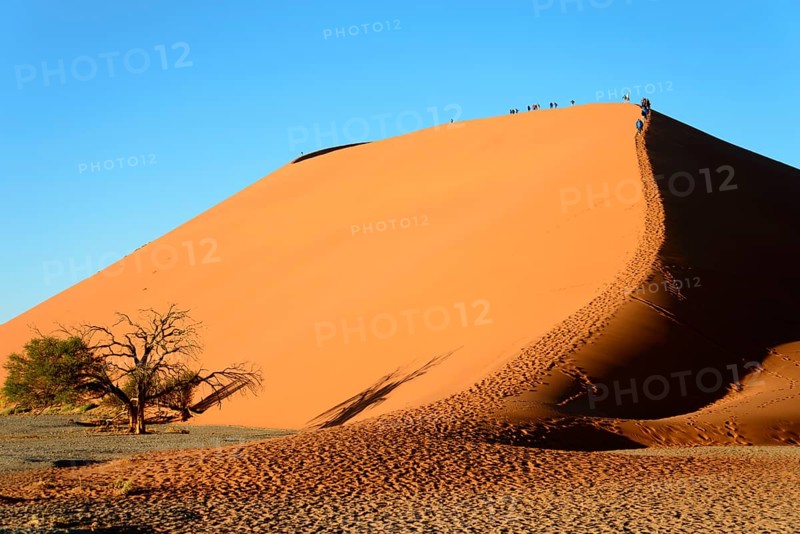 Dune 45