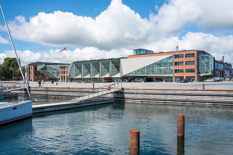 The Culture Yard