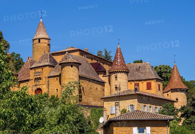 Castle of Jarnioux