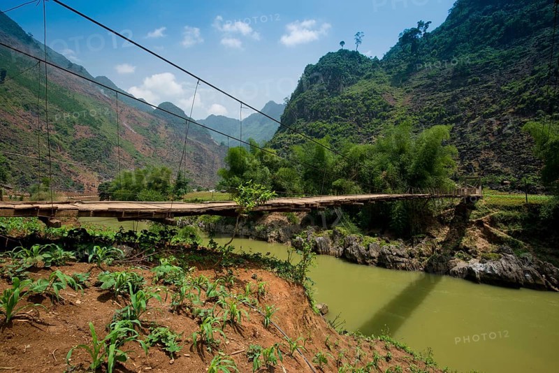 Simple suspension bridge