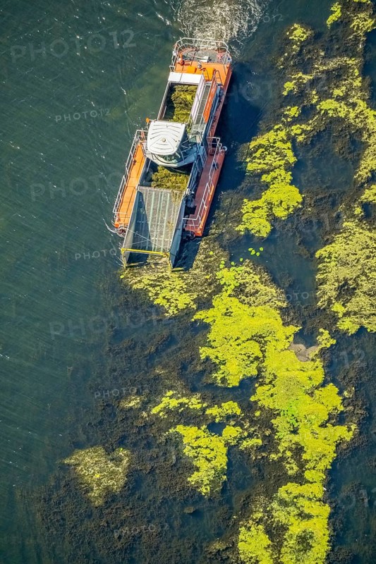 Mow ship on the Kemnader lake
