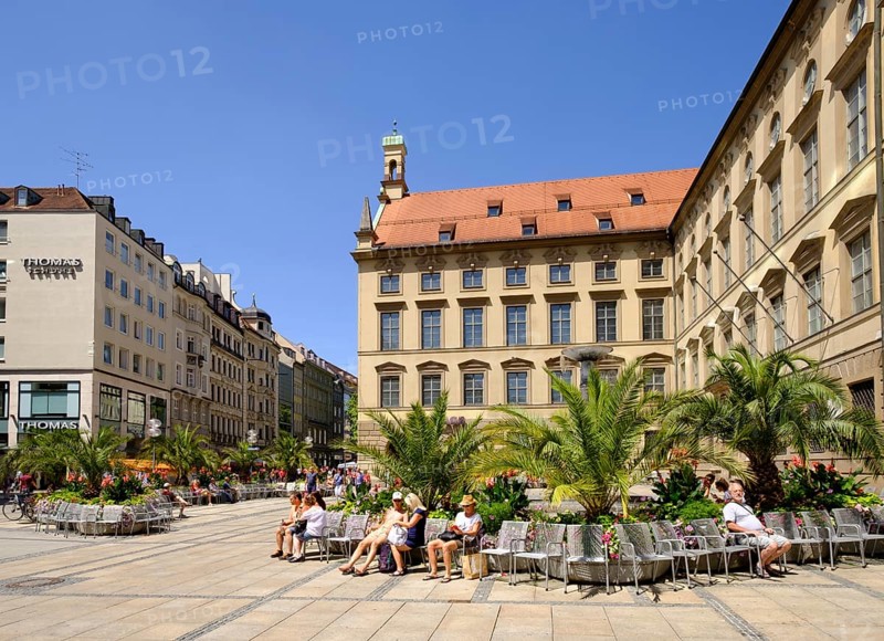 Palms in pedestrian zone