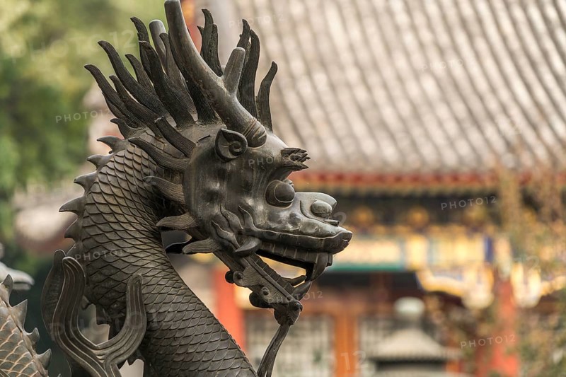 Guard dragon
