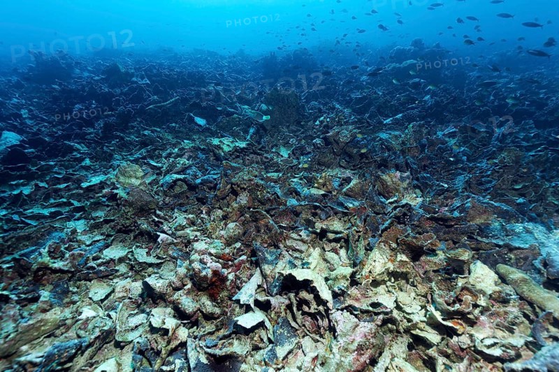 Climate phenomenon El Nino
