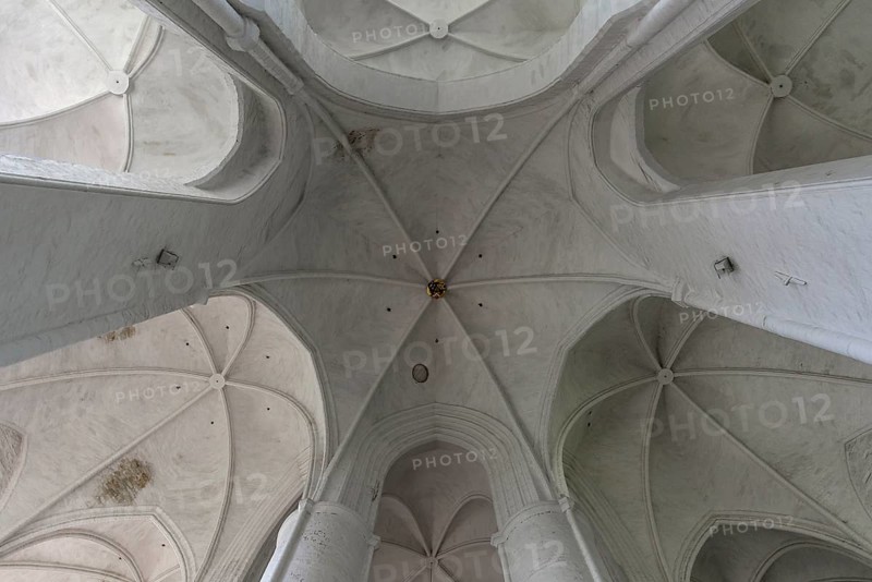 Domes