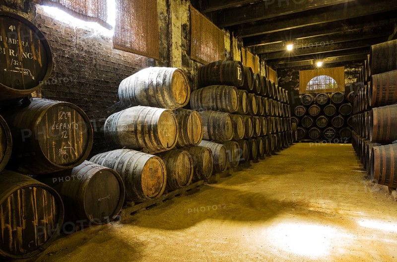 Stacked oak barrels in wine cellar