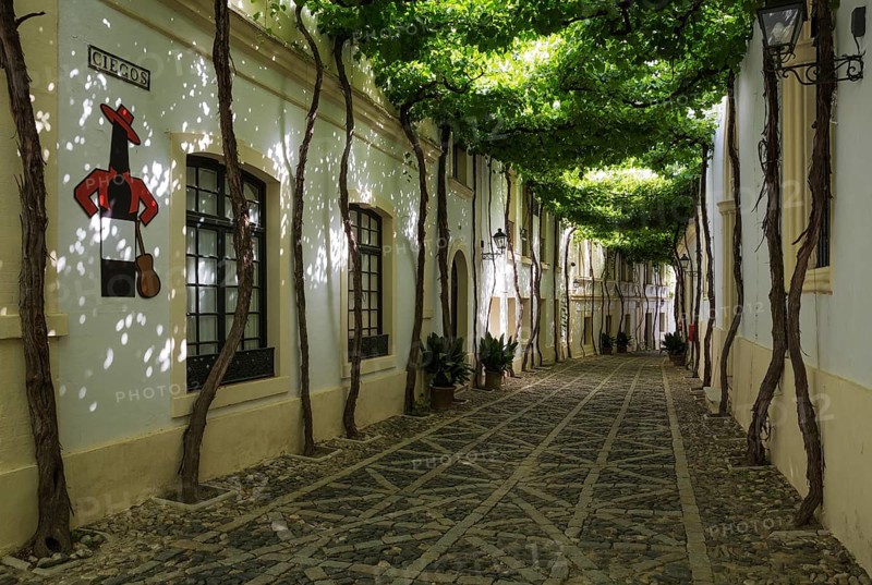 Calle Ciegos with trained vine and the Tio Pepe sherry plaque at the winery Bodega Gonzalez Byass