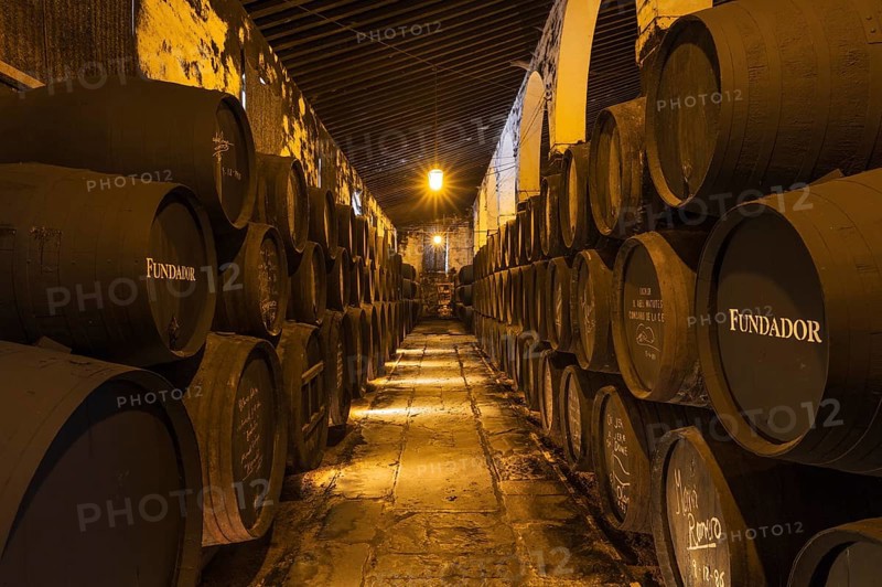 Stacked oak barrels in the wine cellar