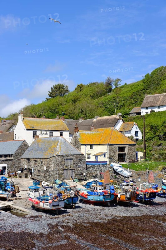 Fishing port