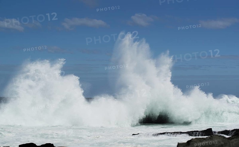 Wave