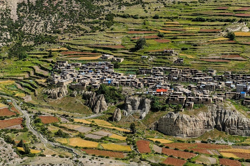 Village Manang with the agricultural terrace fields