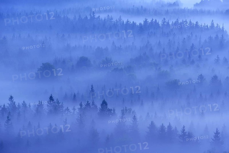 View from Kleiner Winterberg