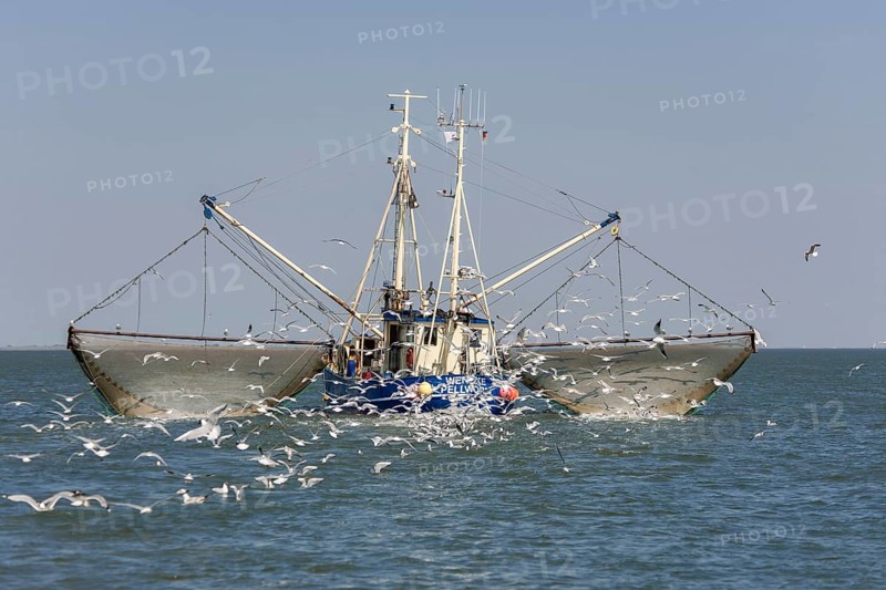 Fishcutter with casted nets at crabs catching
