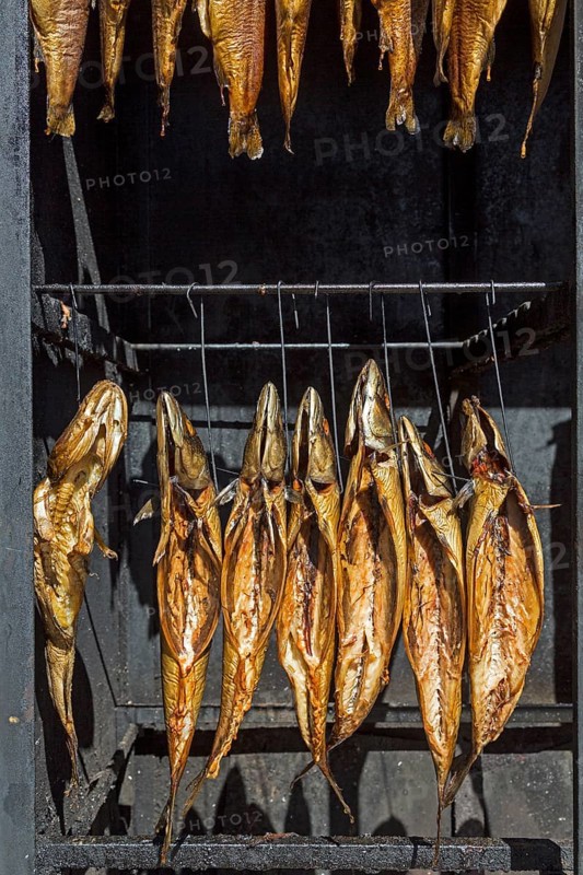 Smoked fish in smokehouse