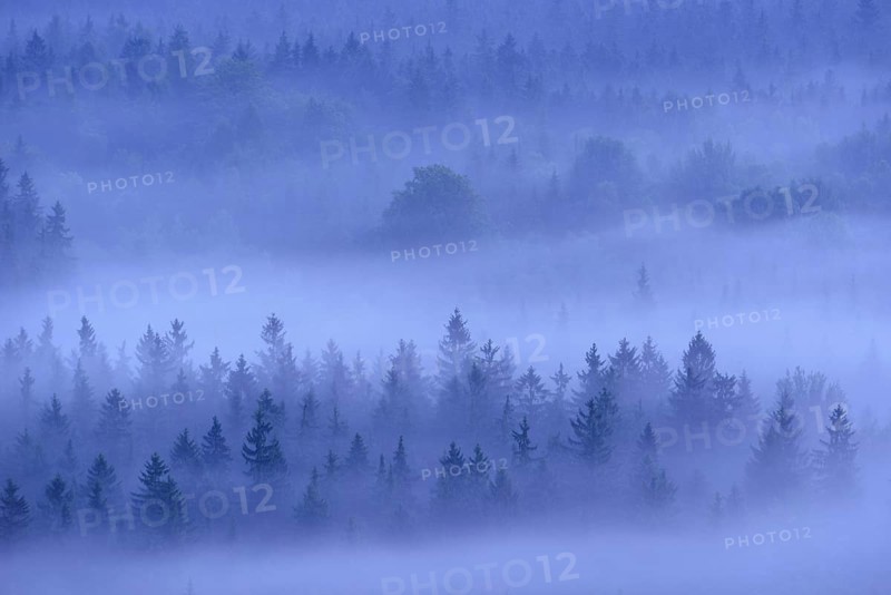 View from Kleiner Winterberg