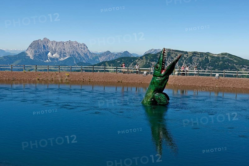 Cymbosponylus in the water in Triassic Park on Steinplatte