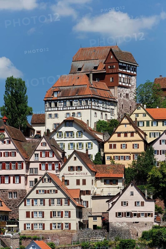 Cityscape with Castle Altensteig