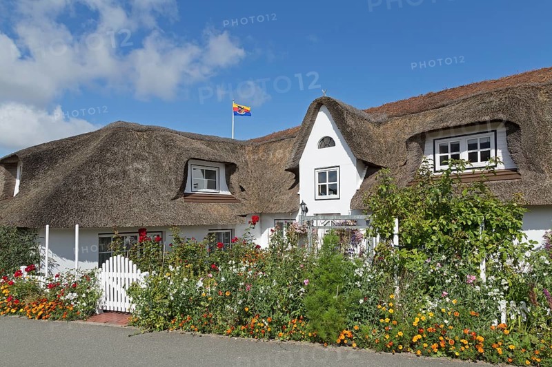 Thatched-roof house with summer flowers