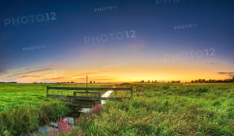 Irrigation ditch