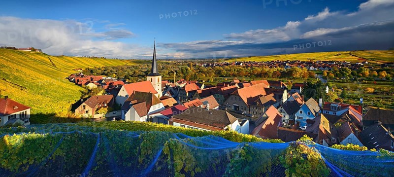 Escherndorf in autumn